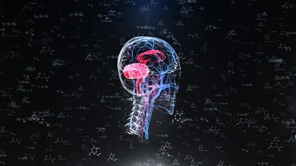 Human Brain Anatomy with Chemical Formulas on Black Background Video - Powered by Adobe