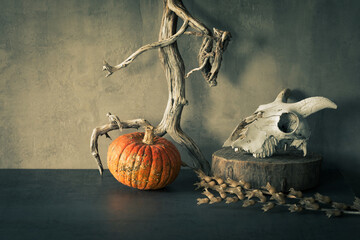 Pumpkin, goats skull, atmospheric driftwood, and dry poisonous herb on the table, copy space.