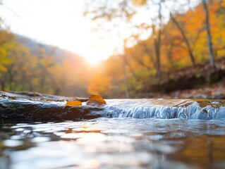 Fototapeta premium Autumn stream sunlight forest scenery