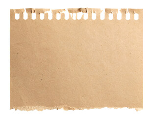 Torn paper with distressed edges and a textured perfect scrapbook isolated cut out on transparent png