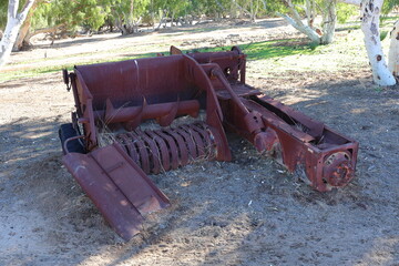 Vintage, old, rusty agriculture, farming equipment abandoned in remote Australian Outback, amongst Eucalyptus trees. History, nostalgia, scrap, collection, travel and tourism
