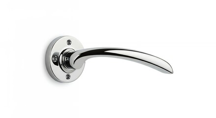 Chrome door handle design detail