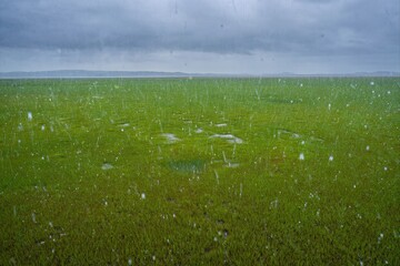 Lush Green Field Under Rainy Sky with Drizzling Water Drops
