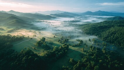 Serene sunrise over misty valley, showcasing rolling green hills, sunlit meadows, and a winding path through lush forest