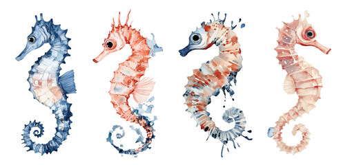 seahorse watercolor vector illustration set, underwater ocean animal art isolated on white background