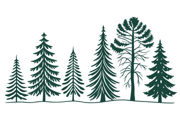 Obraz premium Silhouette Illustration of Evergreen Trees in a Forest Landscape on White Background