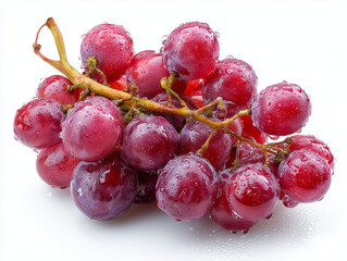 Global Grape Harvest Festival Plump Red Grapes On Vine Showcasing Winemaking Variety Celebrating Vineyard Tourism At International Wine And Agriculture Fair Promoting Sustainable Vine Growing