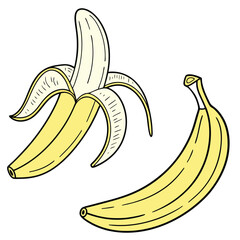 Collection set of A banana In different perspectives