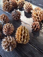Close-Up of Dried Seed Pods on Weathered Wood Background. Ideal for nature concepts, botanical backgrounds, seasonal themes, or eco-friendly product mockups. Perfect for editorial, blogs, print, and e