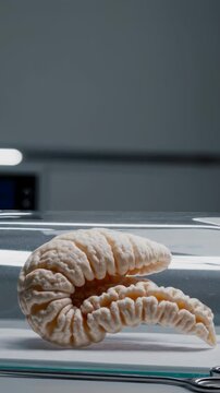Vertical screen, artificial pancreas model rotating slowly inside a glass bell on a white surface in a modern laboratory with medical equipment in the background