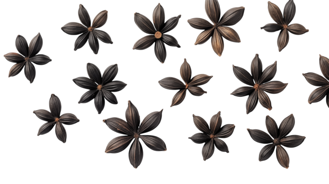 Dark Star Anise Spice Pattern Background Texture - Powered by Adobe