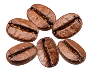 Roasted Coffee Beans Neatly Arranged, Isolated on Transparent Background PNG