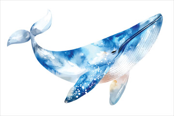 Whale watercolor vector illustration, underwater ocean animal art isolated on white background