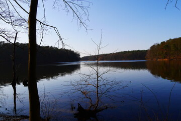 Serene lake landscape with reflection of forest trees at dawn, tranquil water scene surrounded by lush woodland, nature conservation and outdoor recreation beauty perspective