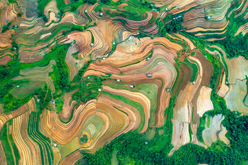 Mu Cang Chai terraced fields 