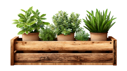 A rustic wooden crate displays an assortment of vibrant potted plants adding natural beauty and aesthetic appeal with transparent background