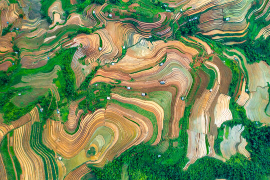 Mu Cang Chai terraced fields 