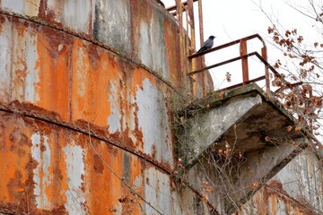 Rusty Industrial Structure with Bird on Weathered Railings