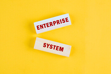 The conceptual phrase of the ENTERPRISE SYSTEM. Business concept. Internet and technology concept.