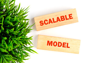 The concept phrase of the SCALABLE MODEL. Conceptual business model symbol. Copy space