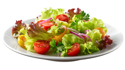 Fresh and vibrant salad with tomatoes lettuce onions and parsley on a white plate isolated on white transparent background PNG cutout