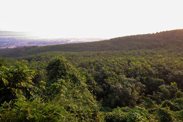Misty Mountain Landscape at Sunrise Serene Forest Scenery