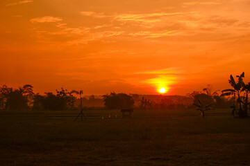 A serene sunset over a rural landscape with a field, trees, and houses silhouetted against a vibrant orange sky.
