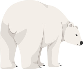 Polar Bear Illustration

