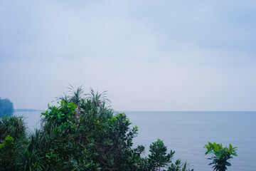 Serene Coastal Landscape Misty Morning View of Lush Tropical Vegetation and Calm Water
