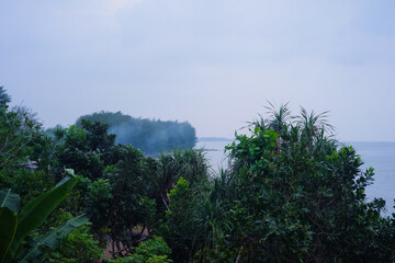 Serene Coastal Landscape Misty Morning View of Lush Tropical Vegetation and Calm Water