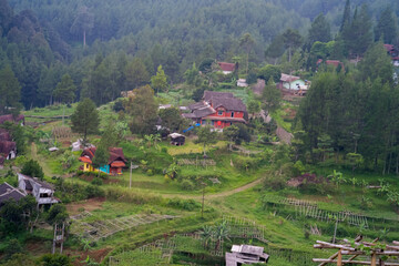 Aerial View of Rural Village in Lush Forest
