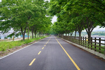 Tree Tunnel Along Ara Bicycle Path