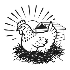 Fototapeta premium vector illustration of a chicken