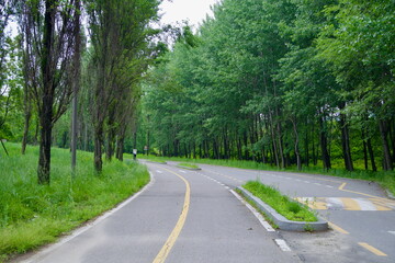 Obraz premium Tree-lined road split in Gangseo Hangang Park