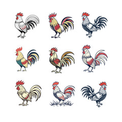 Rooster icon set vector, rooster design, rooster logo. Adobe Illustrator Artwork