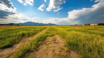 Fototapeta premium Abandoned empty field overtaken by tall weeds and wild grass, with a faint outline of mountains in the distance.