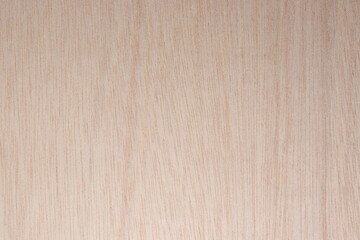 wood texture background