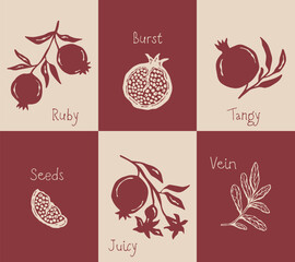 Pomegranate silhouettes and line art vector set