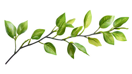 Naklejka premium Realistic green foliage branch with detailed leaves and natural botanical elements
