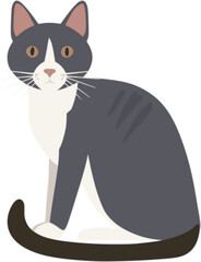 Cat vector illustration in flat style