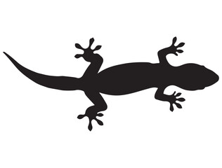 GECKO SILHOUETTE