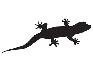 Fototapeta premium GECKO SILHOUETTE