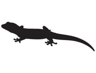 GECKO SILHOUETTE