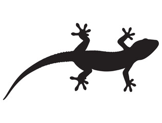 GECKO SILHOUETTE