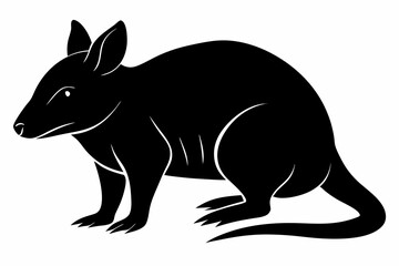 Obraz premium bandicoot sihouette black vector