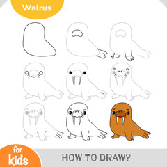 How to draw a cute walrus using step-by-step simple guide.