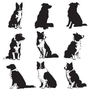 border collie dog silhouette set, Black & White silhouette set