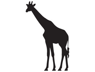 GIRAFFE SILHOUETTE