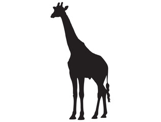 GIRAFFE SILHOUETTE