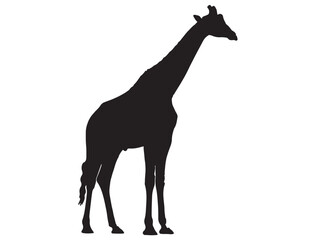 GIRAFFE SILHOUETTE